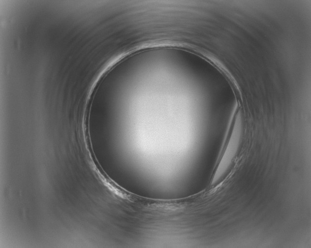 X0000060561197200511030910