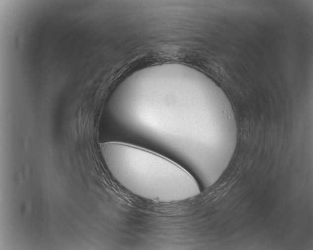 X0000060561201200511030909