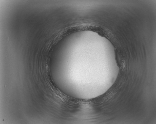 X0000060561204200511030909