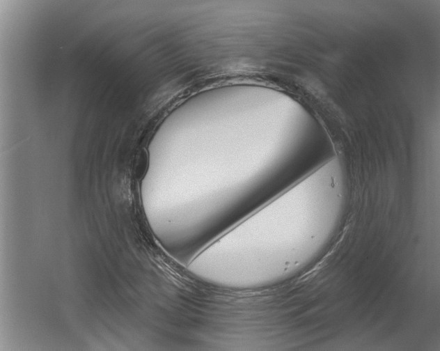 X0000060561209200511030909