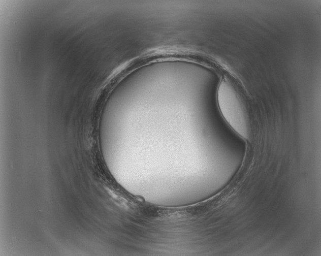 X0000060561213200511030909
