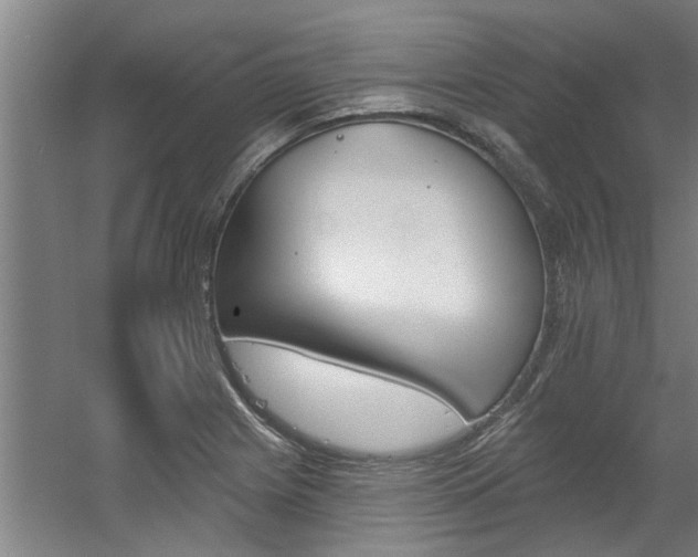 X0000060561225200511030909