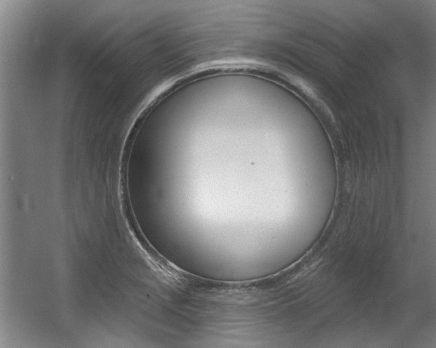 X0000060561229200511030909