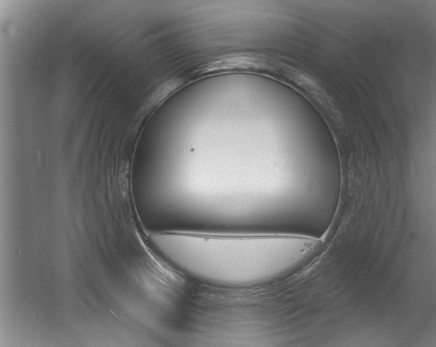 X0000060561233200511030910