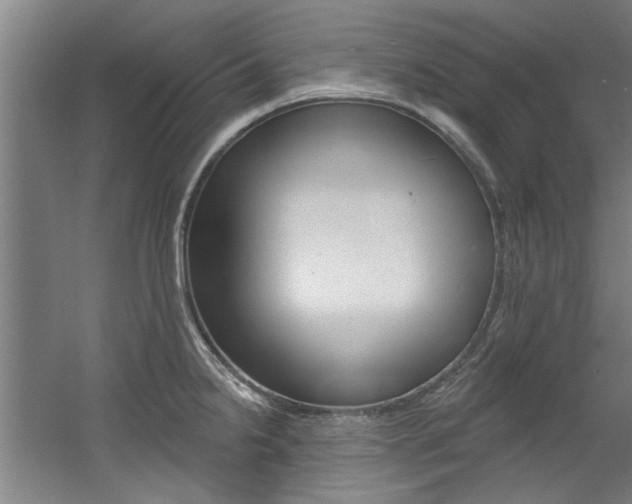 X0000060561238200511030910