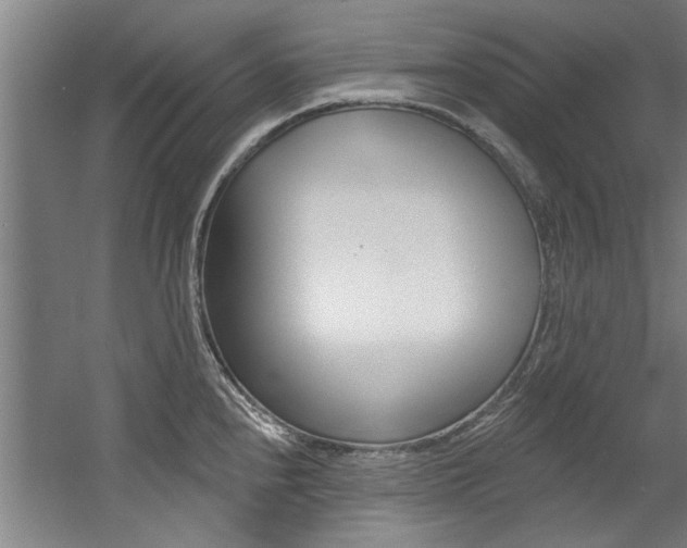 X0000060561240200511030910