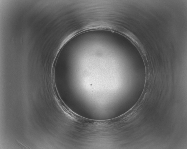 X0000060561242200511030910