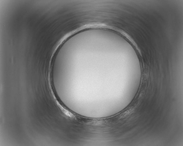 X0000060561245200511030910
