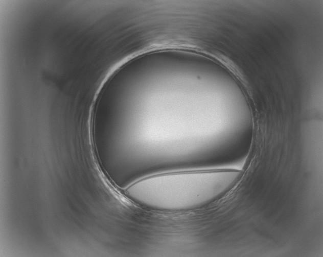 X0000060561246200511030910