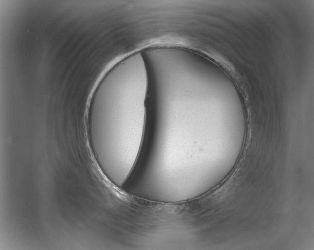 X0000060561248200511030910