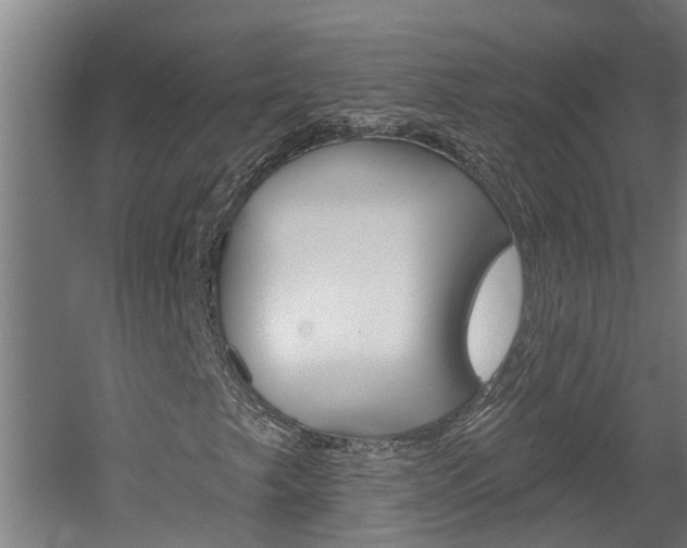 X0000060561249200511030909
