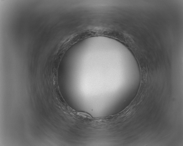 X0000060561253200511030909