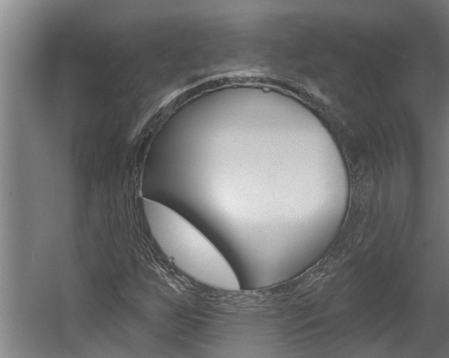 X0000060561255200511030909