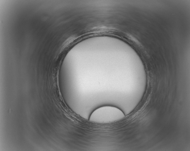 X0000060561259200511030909