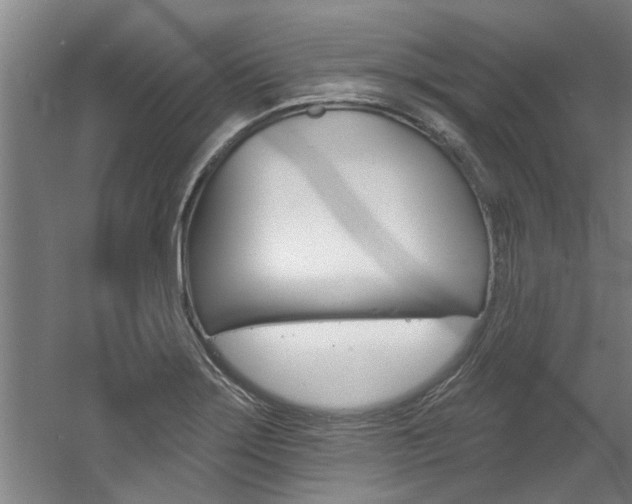 X0000060561275200511030909