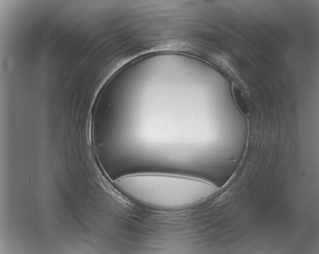 X0000060561276200511030908
