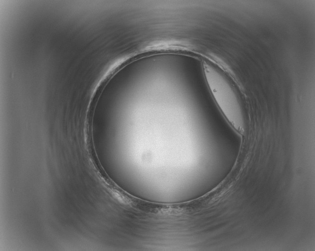 X0000060561277200511030908