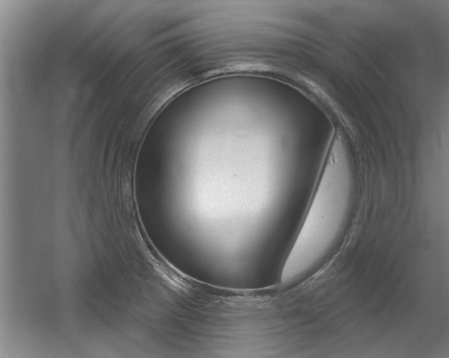 X0000060561281200511030908