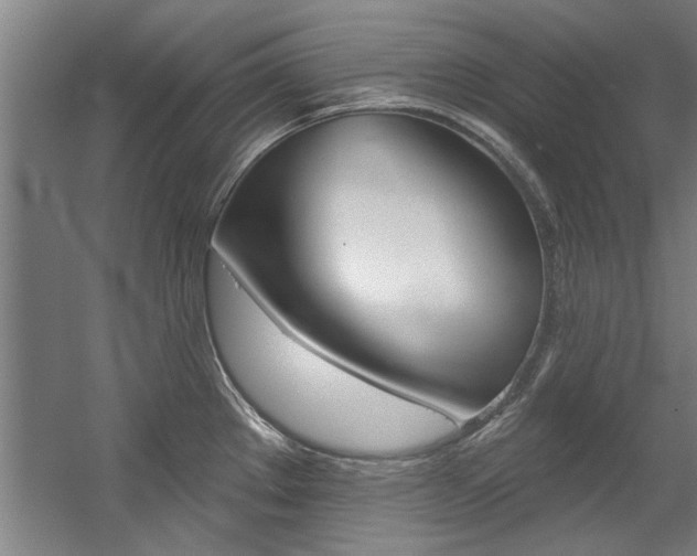 X0000060561289200511030908