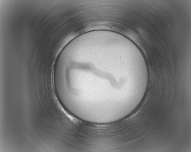X0000060561290200511030908