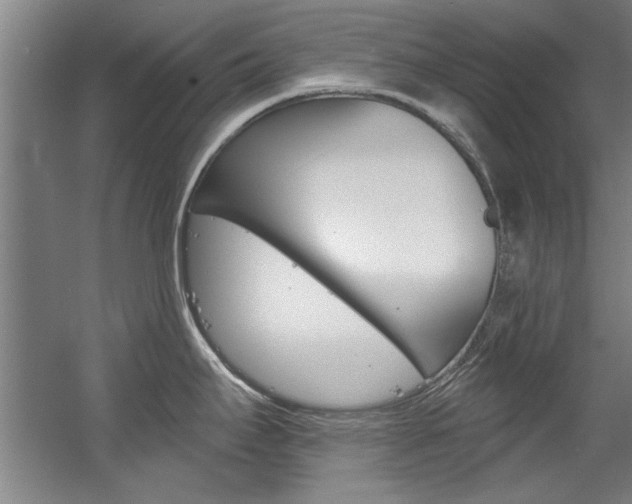 X0000060561295200511030908
