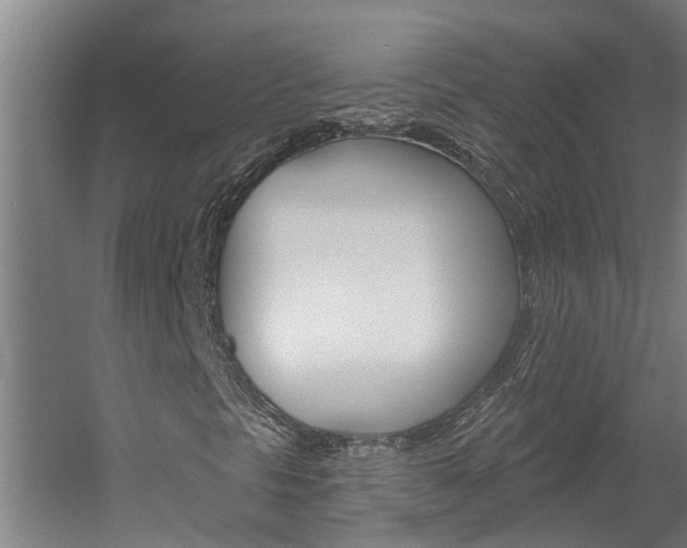 X0000060561297200511030907