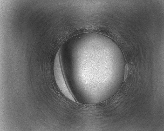 X0000060561298200511030907