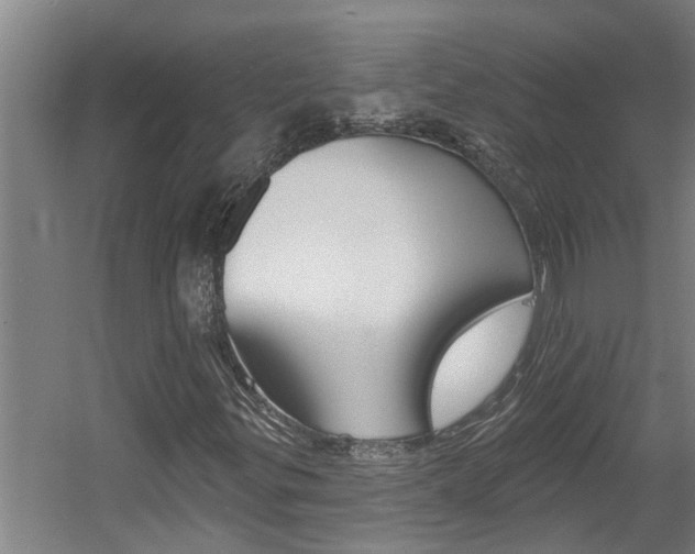 X0000060561299200511030907