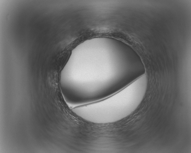 X0000060561301200511030907