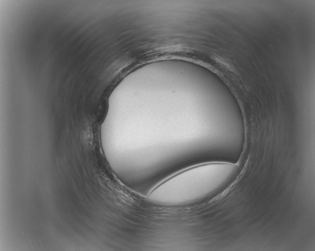 X0000060561305200511030907