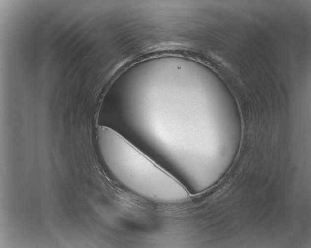 X0000060561313200511030908