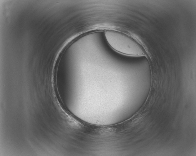 X0000060561331200511030908