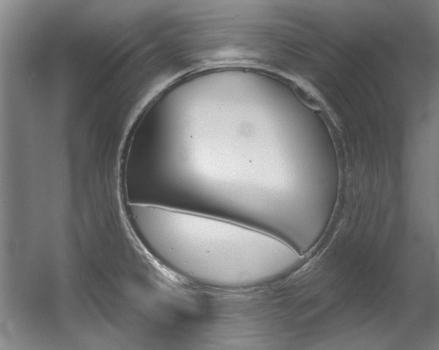 X0000060561333200511030908