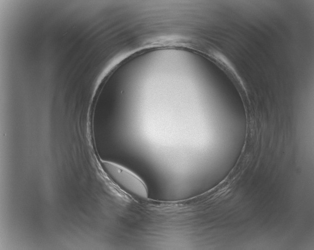 X0000060561336200511030908