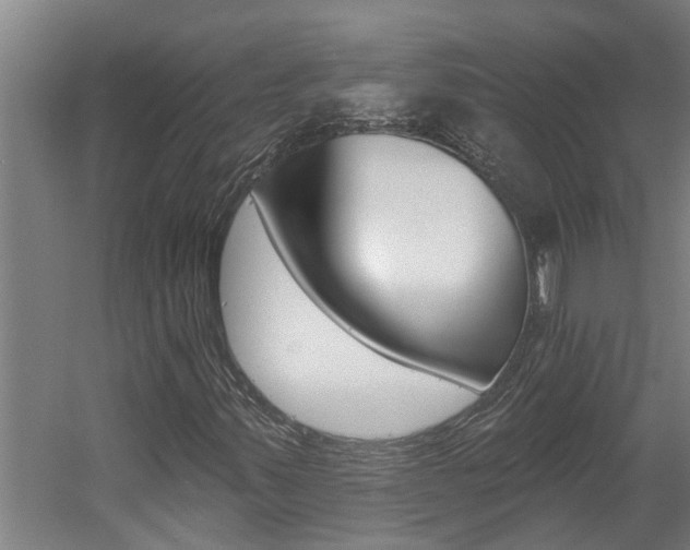 X0000060561347200511030907