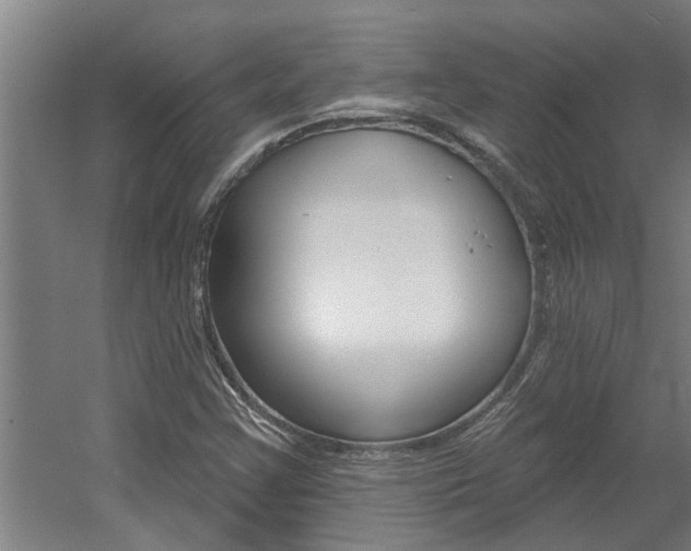 X0000060561355200511030907