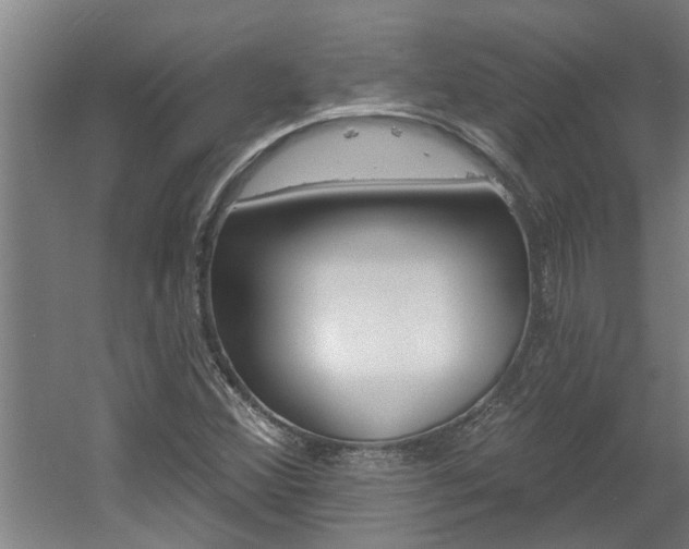X0000060561356200511030907