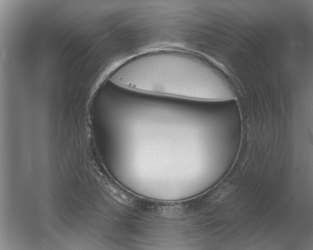 X0000060561363200511030907