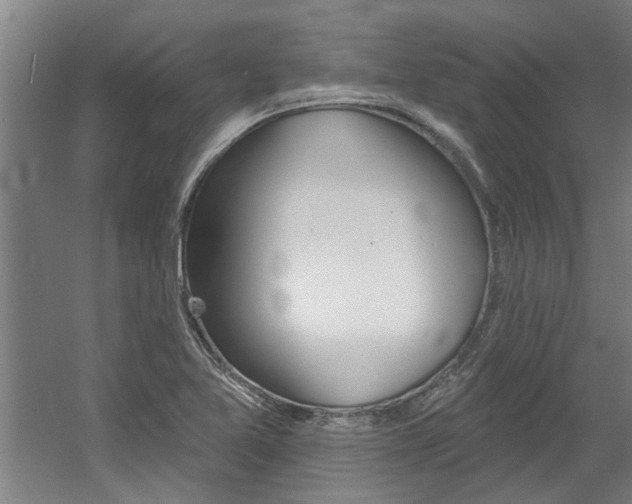 X0000060561365200511030907