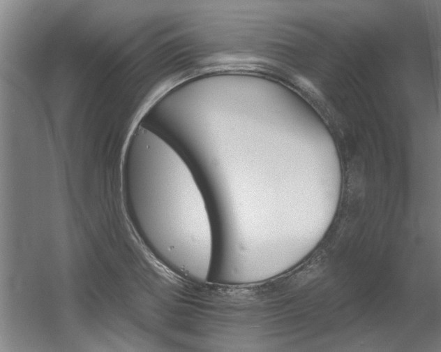X0000060561370200511030907