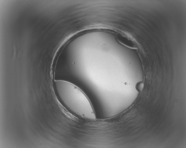 X0000060561372200511030907