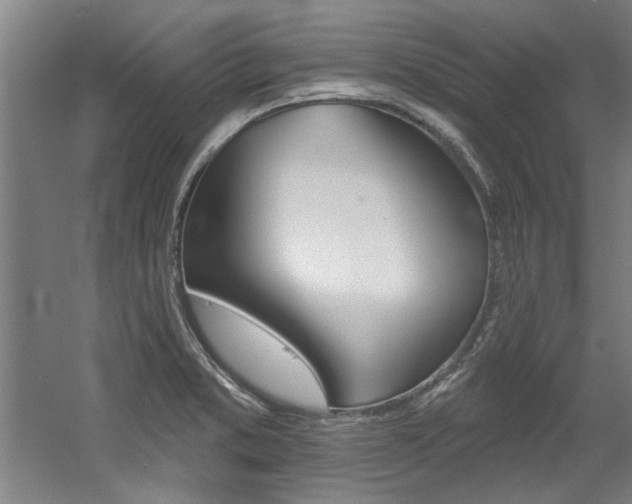 X0000060561373200511030907