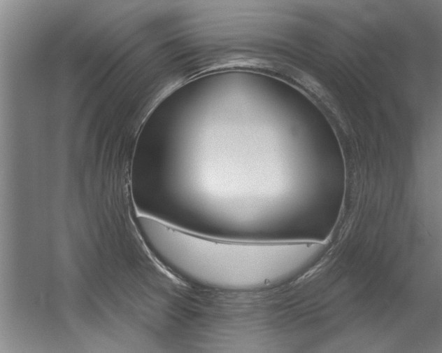 X0000060561377200511030907