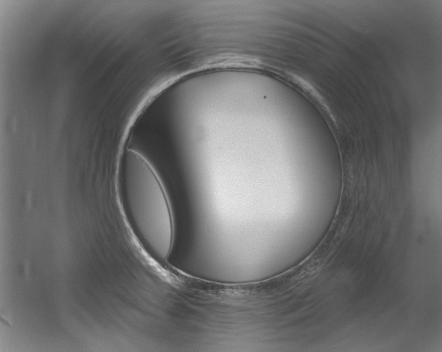 X0000060561379200511030907