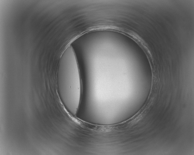X0000060561385200511030907