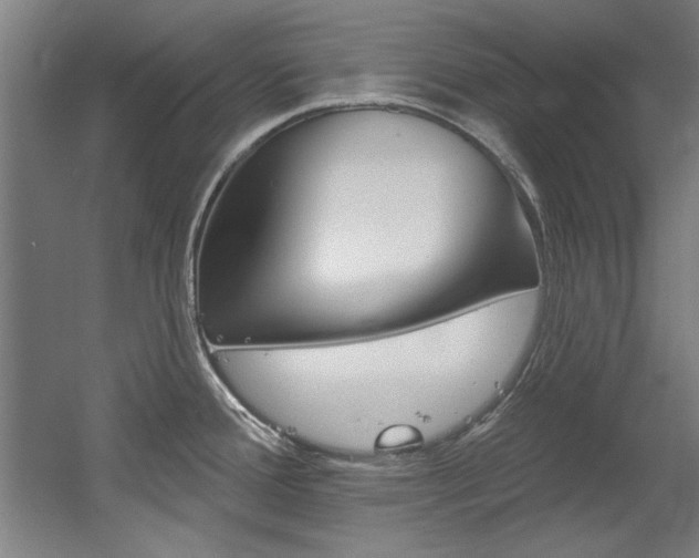 X0000060561388200511030907