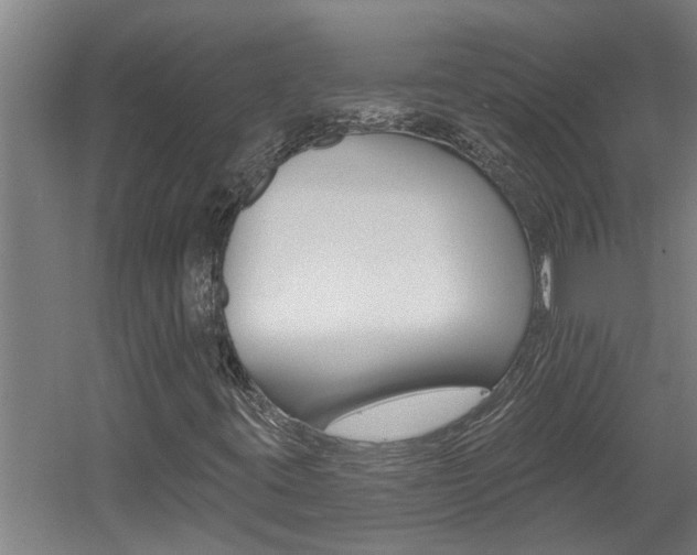 X0000060561395200511030906