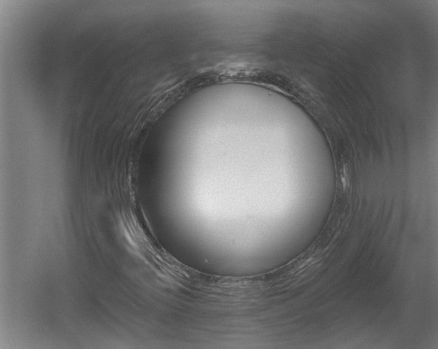 X0000060561396200511030906