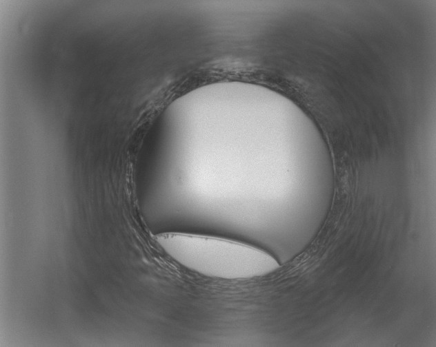 X0000060561397200511030906