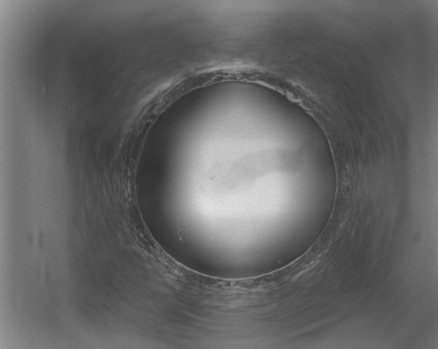 X0000060561398200511030906